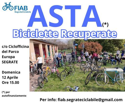 Illustrazione dell'asta. Sullo sfondo una foto del prato davanti alla ciclofficina di Segrate con molte bici parcheggiate.

Scritte con informazioni come nel toot