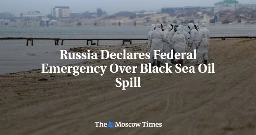 Russia Declares Federal Emergency Over Black Sea Oil Spill - The Moscow Times