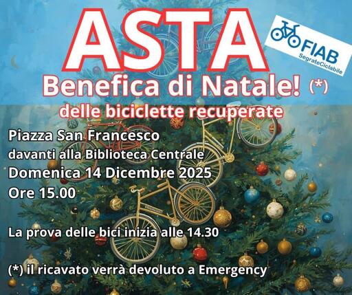 Illustrazione dell'asta

Varie bici su un albero di Natale.

In sovrimpressione scritte con le informazioni del toot